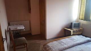 Гостевой дом Pensiunea Elis Gothatea Двухместный номер с 1 кроватью и собственной ванной комнатой-10